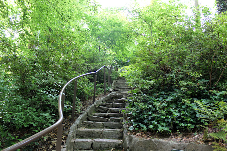 9 stone stairs at the park